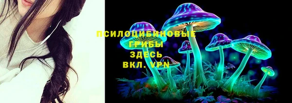 мескалин Богородск