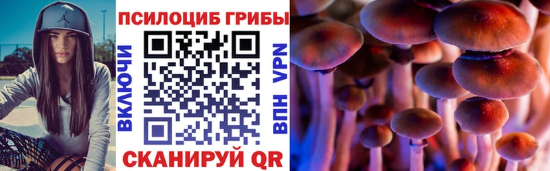 Галлюциногенные грибы Psilocybe  Купить закладки  Строитель 