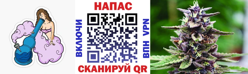 Купить где  Строитель  Конопля конопля 